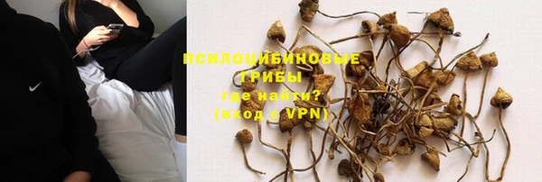 спайс Лагань