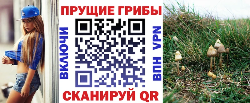 Галлюциногенные грибы мицелий  Октябрьский 