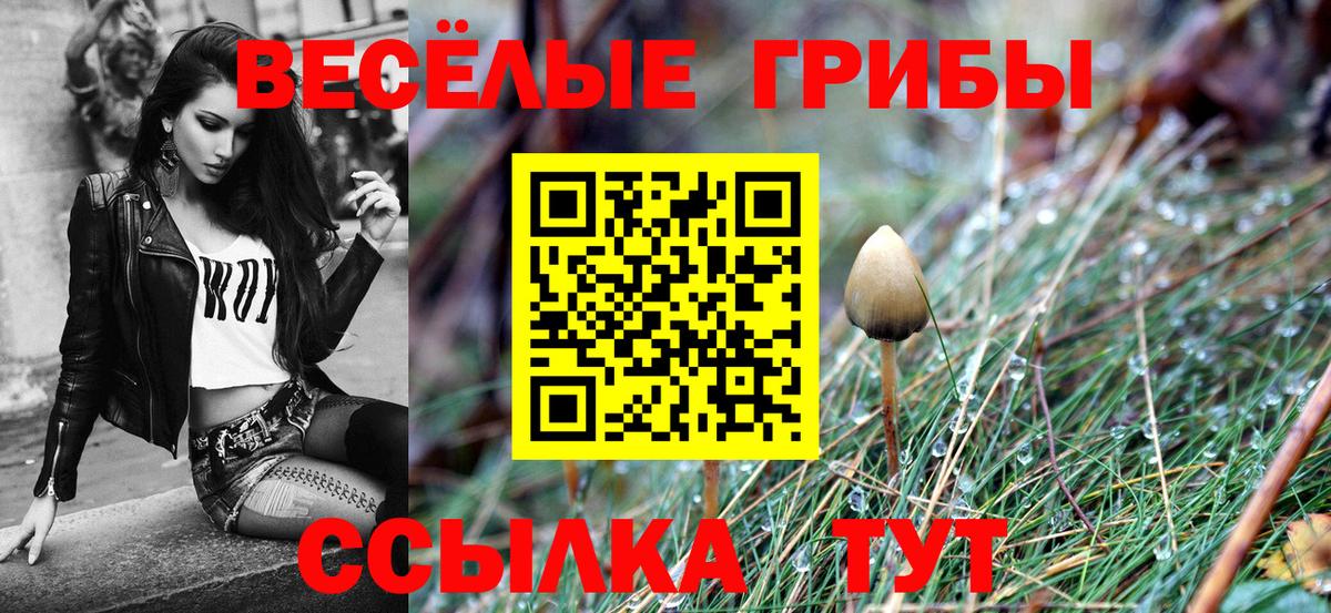 Псилоцибиновые грибы MAGIC MUSHROOMS  дарнет шоп  Октябрьский  Псилоцибиновые грибы MAGIC MUSHROOMS 