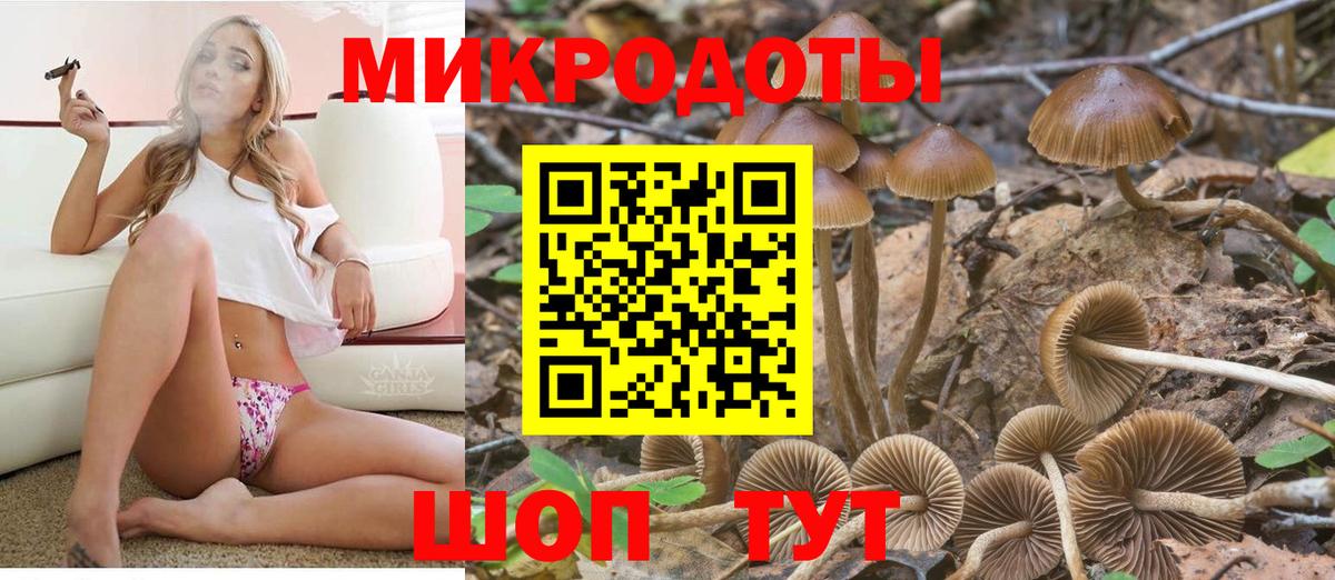 Псилоцибиновые грибы Magic Shrooms Октябрьский